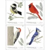 Birds in Winter 2018-5 Booklets / 100 Pcs