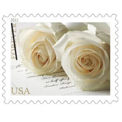 Wedding Roses 2011-5 Sheets / 100 Pcs