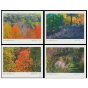 Autumn Colors 2024-5 Sheets / 100 Pcs
