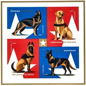 Military Working Dogs-2019-100Pcs
