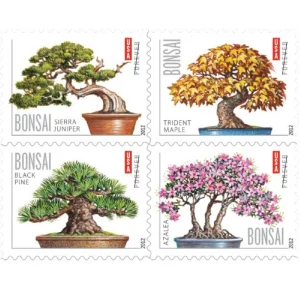 Bonsai 2012-5 Booklets / 100 Pcs