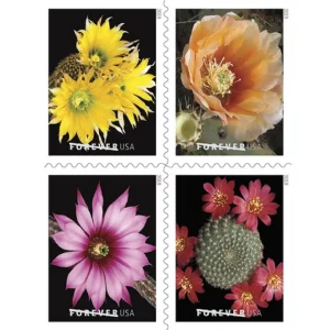 Cactus Flowers 2019-5 Booklets / 100 Pcs