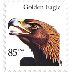 Animal eagle 2012 -100Pcs