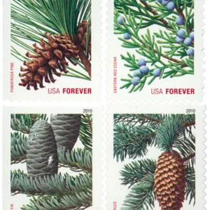 Holiday Daily Green Trees 2010-5 Booklets / 100 Pcs