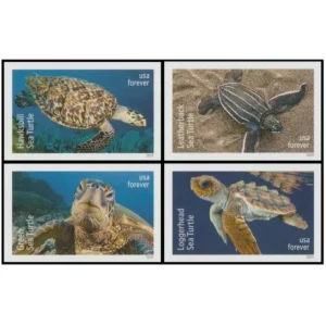 Protect Sea Turtles 2024-100 Pcs