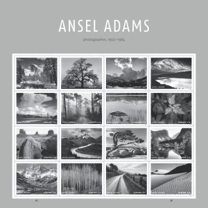 Ansel Adams 2024-5 Sheets / 100 Pcs