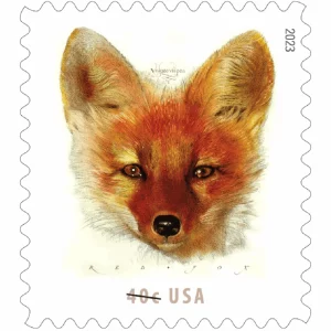 Red Fox 2023-5 Sheets / 100 Pcs